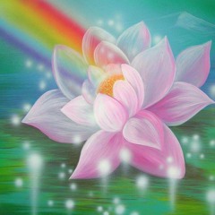 Amor e Gratidão - Raquel da Rosa