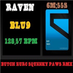 RAVEN - BLU 9 (BUTCH ZURC SQUEEKY PAWS RMX) - 128.57 BPM