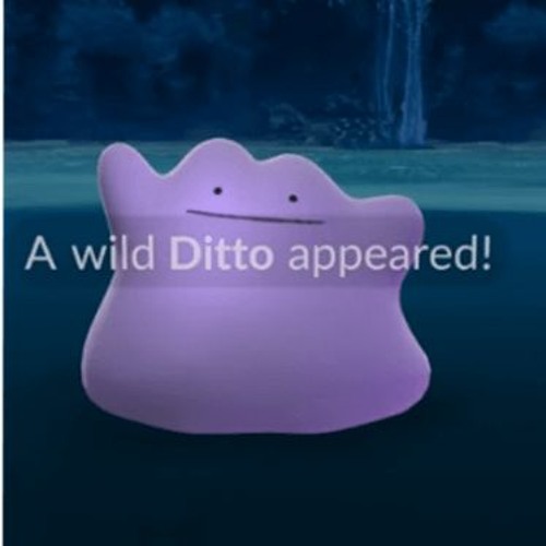 The pokemon ditto in the wild
