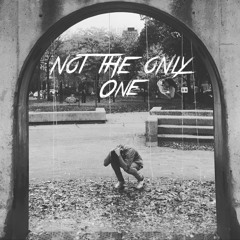 Sam Smith - Not The Only One