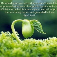 Sweet&Nourishing&Cherishing