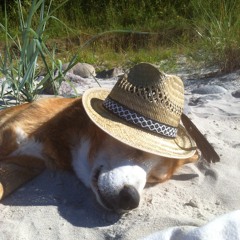 Plötzlich war´s gewesen (fictional DJ Set)