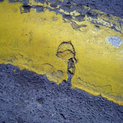 Dunk the Skunk (2o16)