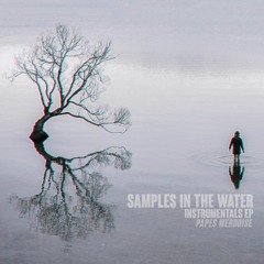 05. Electric Instrumental (Sample - Electric Feel By MGMT) Prod.Papes