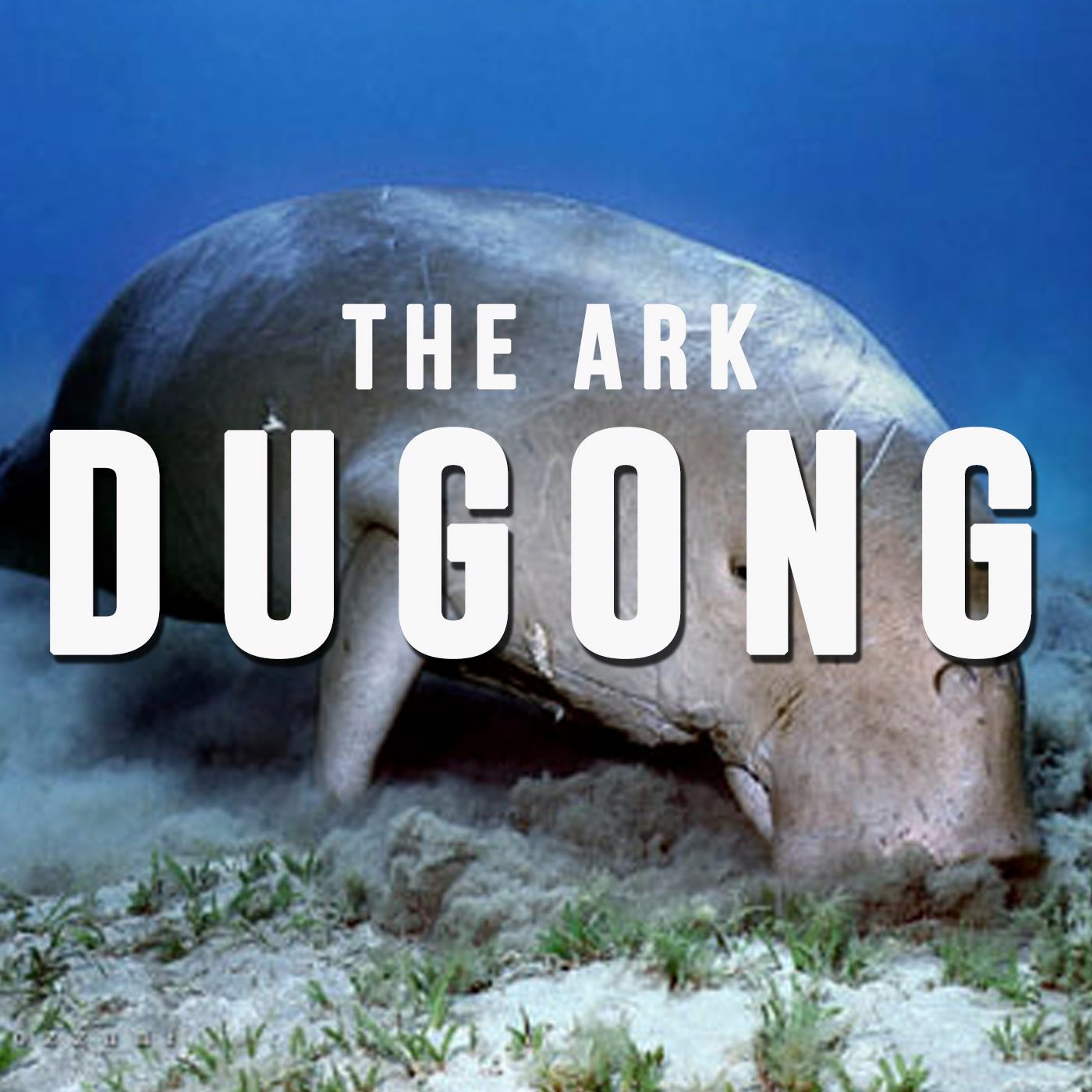 Episode 5 - Dugong