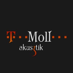 T-Moll Akusztik - Ébredés (Daczi Zsolt cover)