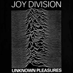 She`s Lost Control (Joy Division)
