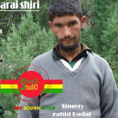 New Shina song They Achei Sari Shiri singer : Zahid Badal Lyrics : Altaf Hussain