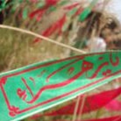 حامد زماني-اين اخرين قدم (شهدا)