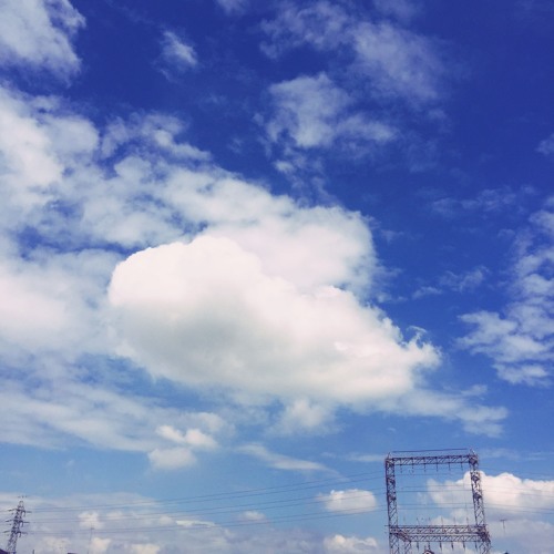 Have you seen the ocean?