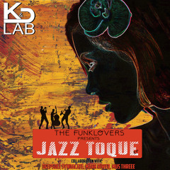 The Funklovers & Marc Riwer - Moonlight Blues (Original Mix) Snip