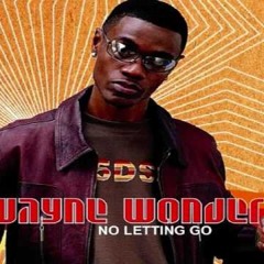 Wayne Wonder - No Letting Go (Craig Knight Remix)