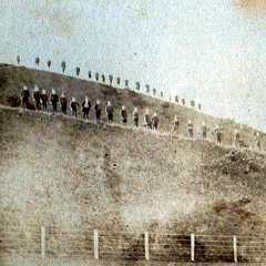 Algorithm and Bela Feedback - Experiment 2