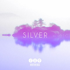 Kavern - Silver