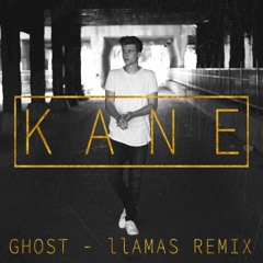 Ghost (IIAMAS REMIX)