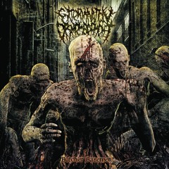Rotten Entrails