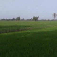اول امسية مسجلة للشيخ محمد عبد الوهاب الطنطاوى