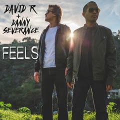 David R And Danny Severance - Feels