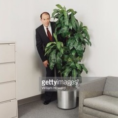 Hidden (vip)