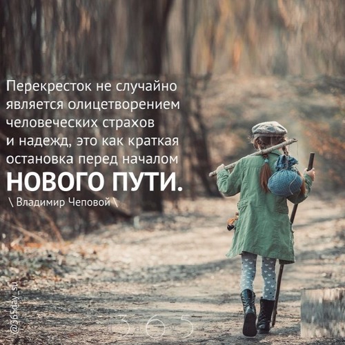 Цитата о начале