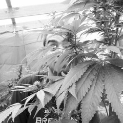 Mc DIscordia - QUE SUENEN LOS PARLANTES