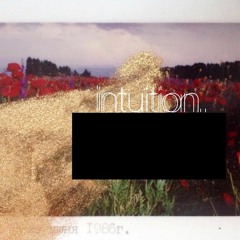 Intuition