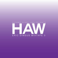 ERIC DINGUS - HAW III