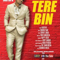 Tere Bin-Sarthi K