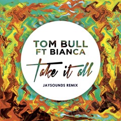 Take It All (JaySounds Remix) - Tom Bull ft. Bianca