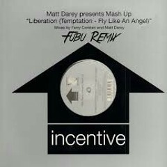 Matt Darey - Liberation (Andy Cain remix)