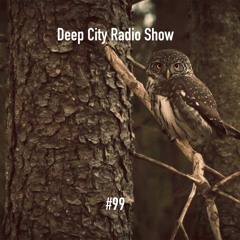 Deep City Radio Show #99 - Part 1 - Andizzzii