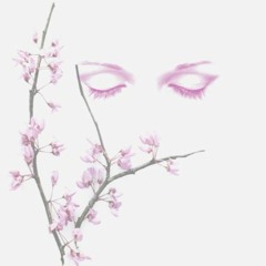 Reflections on Peace