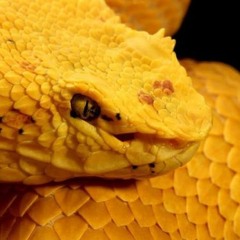 objects in the mirror (mac miller)