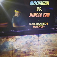 Moombah Vs. Jungle Bae (Cristian Rico Mashup) - Silvio Ecomo, Chuckie, Skrillex & Diplo
