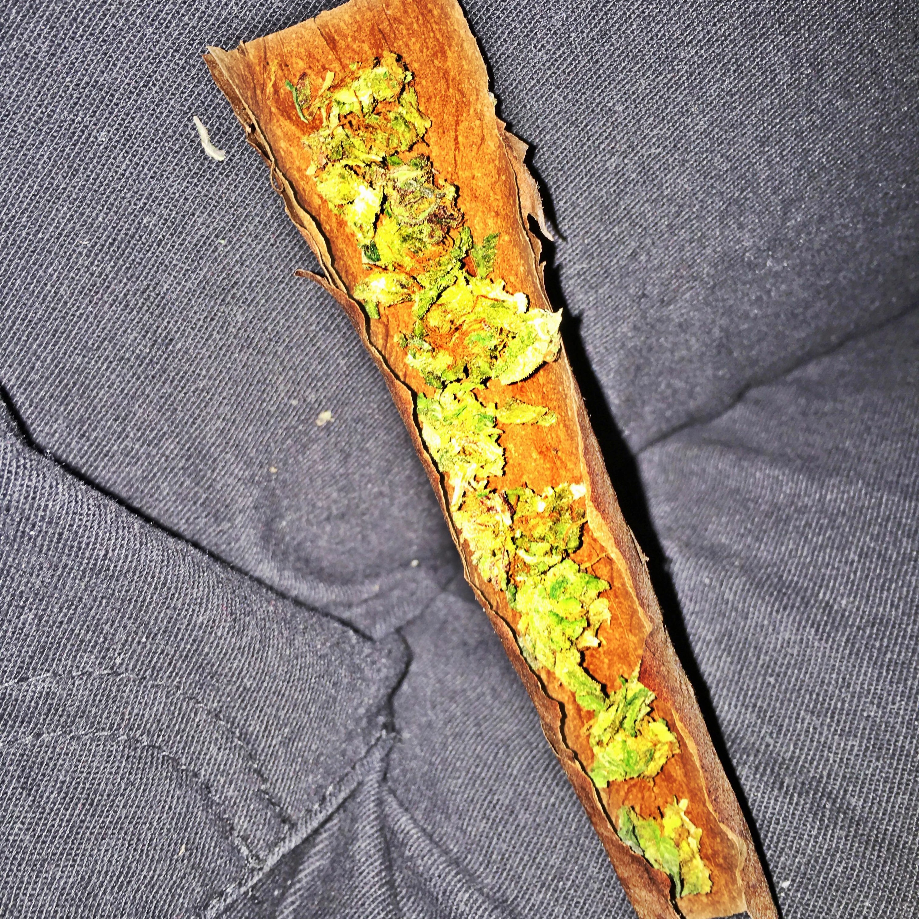 Will Xcapo