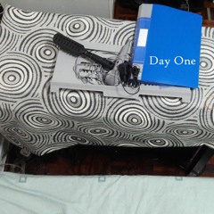 when you wake up i'll be gone little crocodile (Ricky Eat Acid cover)