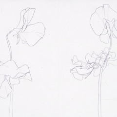 Jøn Liefhold – Argusterfelder C (excerpt), C-40