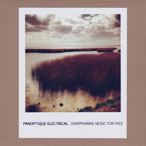 Panoptique Electrical - In A Forest Forlorn