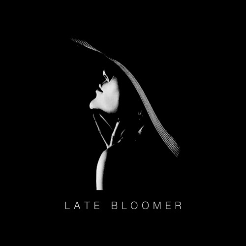 Hutchinson - Late Bloomer (Free Download)