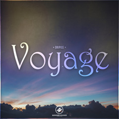 Dripice - Voyage [Summer Sounds Release]
