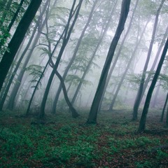 Heathens/Where Is My Mind MashUp