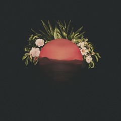 Watching Everything Happen