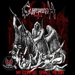 Show me the Wrath (Sepultura Cover)