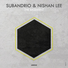 Premiere: Subandrio & Nishan Lee - Dynamic Ocean [Juicebox Music]