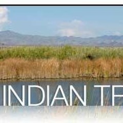 Bird Songs at Standing Rock