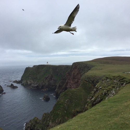 Our Fair Isle Sounds