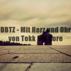 DBTZ - Mit Herz und Ohr von Tekk bis Core