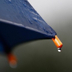 Rain on umbrella