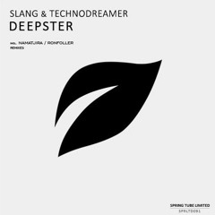 Slang & Technodreamer - Deepster(Namatjira's Deeper Than Deep Remix)(Spring Tube)[PREVIEW]