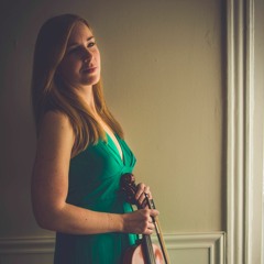 Brahms G major sonata for violin and piano mvmt 1 (live)